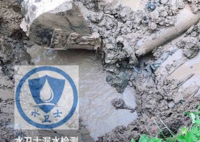 朝阳水管漏水检测公司5